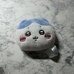 ハチワレ 鏡