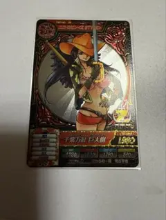 ワンピース　ワンピートレジャーワールド　ロビン