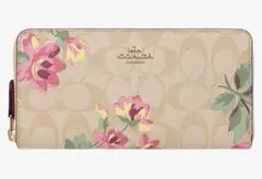 Item thumbnail for item 6b82e230-e320-4a53-818d-eab308ea46c6