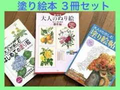 未使用 大人の塗り絵3冊セット - メルカリ