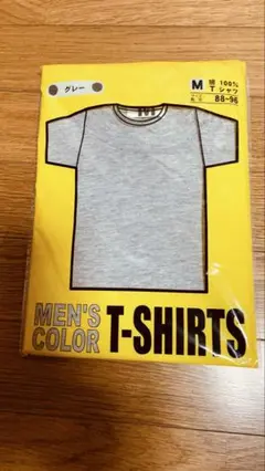 パックT ライトグレー 無地Tシャツ Mサイズ