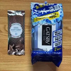 GATSBY・MEN'S Biore 等　30枚入✖️29個 GATSBY ボディシート 30枚 MEN'S Biore ボディシート 20枚 - メルカリ