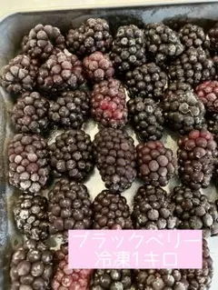 無農薬　ブラックベリー　冷凍　1キロのサムネイル