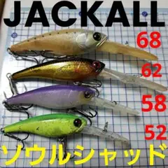 2026年最新】JACKALL ミノー・プラグの人気アイテム - メルカリ