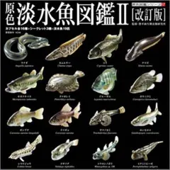 原色淡水魚図鑑 Ⅰ [ 改定版 ]イワナアルビノ. ウナギアルビノ . 大正三色 原色淡水魚図鑑 Ⅰ [ 改定版 ]イワナアルビノ. ウナギアルビノ