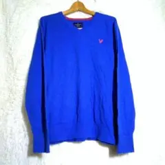 アメリカンイーグル【L】メンズ Vネック 長袖Tシャツ ロンT 綿 青