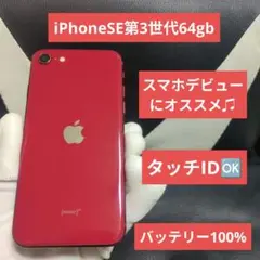 176 iPhone　SE 第3世代　64gb 赤　SIMフリー　red 100