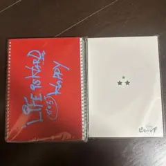 嵐 ピカンチ リングノート パンフレット