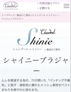 2025年最新】シャンデール ガードルの人気アイテム - メルカリ