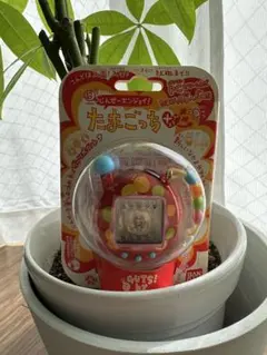 新品 未使用 BANDAI たまごっち カフェぶらうん 当時品 TMGC - メルカリ