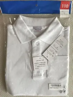 Item thumbnail for item 5d95904c-b49d-4d8b-9111-470eaff827c1