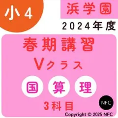 2026年最新】浜学園復習テストの人気アイテム - メルカリ