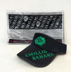 Item thumbnail for item 1243cb35-0106-4b5c-8605-2f7029347a60