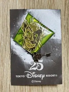 2025年最新】東京ディズニーリゾート キャラクターグッズ ピンズ