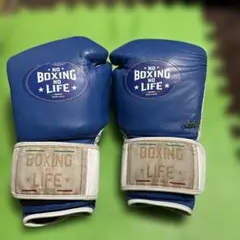 Item thumbnail for item 0cae2b8c-7b33-4f2d-a264-30c9f85be976