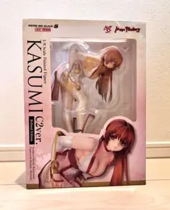 【未開封】DEAD OR ALIVE 霞C2ver. 1/6完成品フィギュア