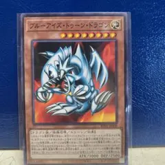 遊戯王ブルーアイズ・トゥーン・ドラゴン1枚 破械神アルド1枚のサムネイル
