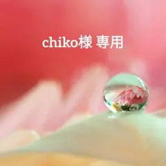 chiko様 リクエスト 2点 まとめ商品
