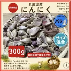 国産にんにく 播磨在来種 播州かぐや バラ300g 栽培期間中農薬不使用