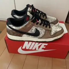 Nike Dunk Low co.jp
