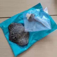 kyabetu様 リクエスト 2点 まとめ商品