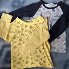 バナナ柄 長袖カットソー 110サイズ　恐竜柄　　2枚セット VANDASH