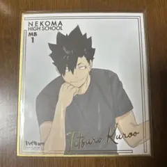 黒尾鉄朗　ハイキュー　箔押しミニ色紙コレクション