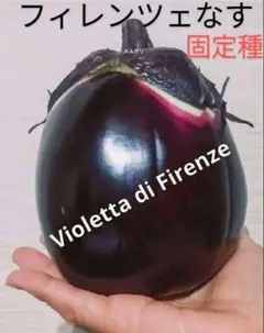 yasu様 リクエスト 2点 まとめ商品