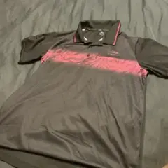 Item thumbnail for item bd0a0ea3-ab01-492c-a37c-1679a8eff4b2