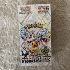 2025年最新】テラスタルフェスBOXの人気アイテム - メルカリ