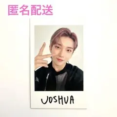 SEVENTEEN FOLLOW ジョシュア インスタントフォトステッカー