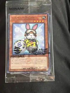 ネイマール レスキューラビット