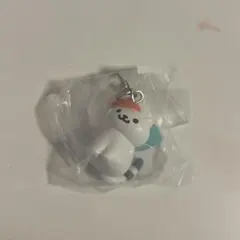 ねこあつめ2 めじるしアクセサリー2 あんけーとさん