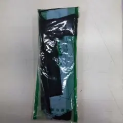 Item thumbnail for item f100f079-685f-497f-b590-3a195f53e8dd