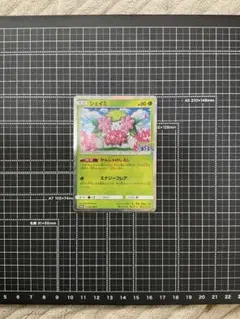 シェイミ 225/SM-P プロモ ポケモンの家あつまる？ キラ 状態難 ポケカ