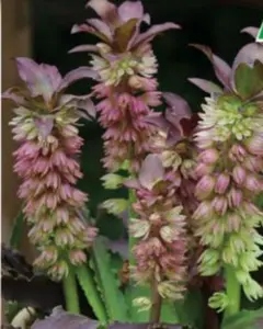 ラムダ様 リクエスト 2点 まとめ商品