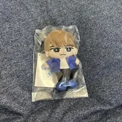 Snow Man 渡辺翔太 すのチル ぬいぐるい