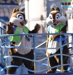 専用　ディズニーリゾートライン　フリーきっぷ　2026年　お正月