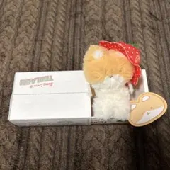 Berry Lover TEOLAEGI