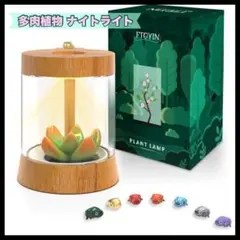 FTOYIN 多肉植物 ナイトライト カエル　オシャレ　インテリア　寝室