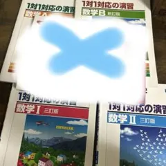 1体1対応の演習IAIIB