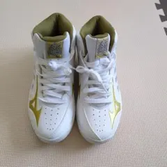 Item thumbnail for item e74d521b-544e-464b-aba1-7e41c2b4a43e