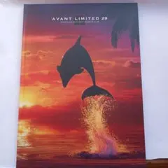 AVANT LIMITED 29