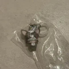 JOCHUM めじるしアクセサリー チュララ