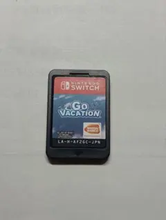 GO VACATION ゴーバケーション (Nintendo Switch)