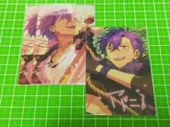 乙狩アドニス 珍蔵カード 中国グッズ