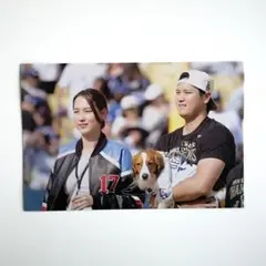 大谷 翔平選手 & デコピン & 真美子さん フォト KGサイズ B