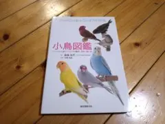 noon様 リクエスト 4点 まとめ商品