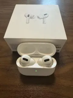 Apple AirPods Pro 第1世代　本体一部付属品有　※ノイキャン不可