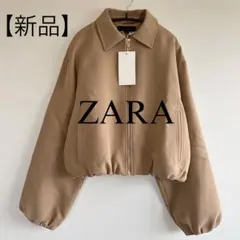 Item thumbnail for item c5763831-dff6-45a2-98ed-35af47a8e8f0